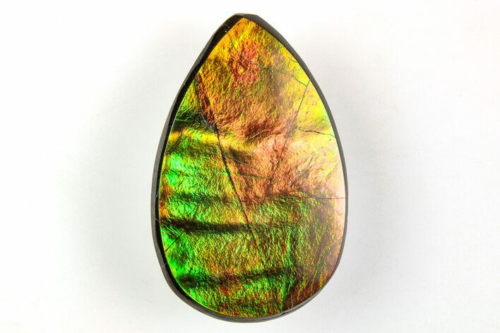 Vibrant, Iridescent Ammolite (Fossil Ammonite Shell) Cabochon #206052